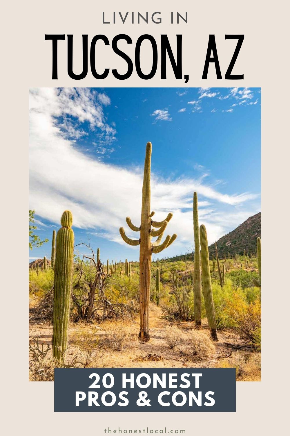 Pros and cons of living in Tucson